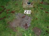 image of grave number 275084